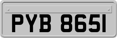 PYB8651