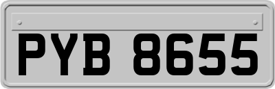 PYB8655