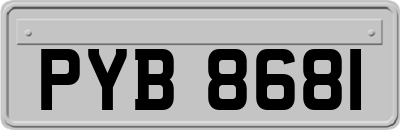 PYB8681