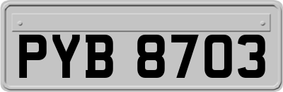 PYB8703