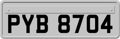 PYB8704