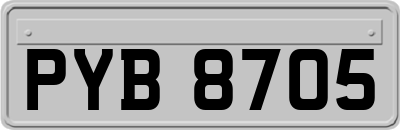 PYB8705