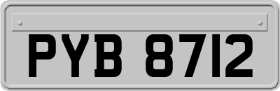 PYB8712