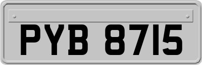 PYB8715