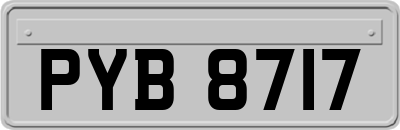 PYB8717