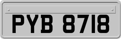 PYB8718