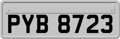 PYB8723