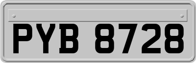 PYB8728