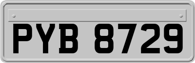 PYB8729