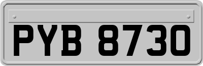 PYB8730