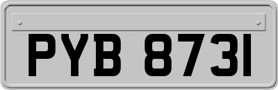 PYB8731