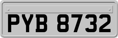 PYB8732