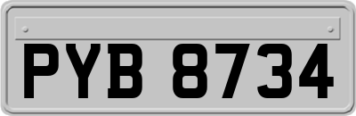 PYB8734