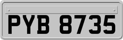 PYB8735