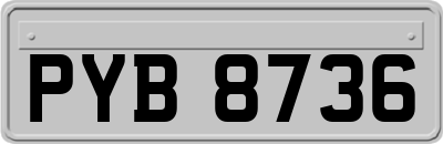 PYB8736