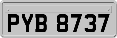 PYB8737