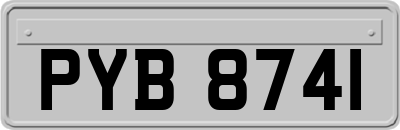 PYB8741