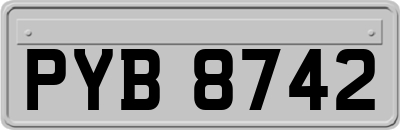 PYB8742