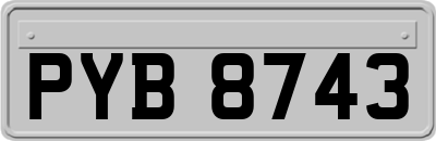 PYB8743