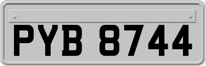 PYB8744