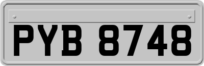 PYB8748