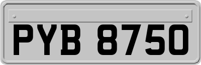 PYB8750