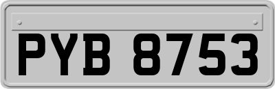 PYB8753