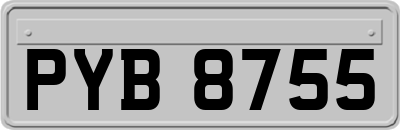 PYB8755