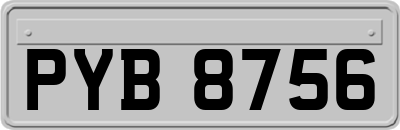 PYB8756