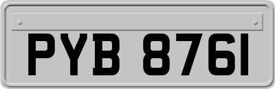 PYB8761