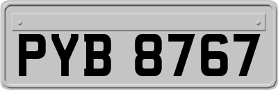 PYB8767