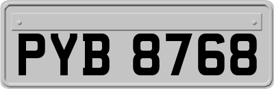 PYB8768