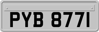 PYB8771