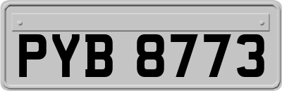 PYB8773