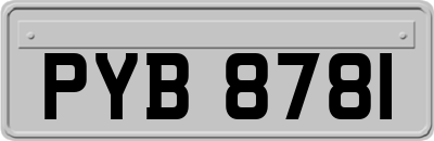 PYB8781