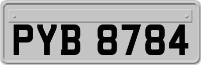 PYB8784