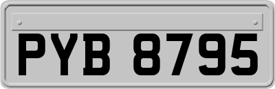 PYB8795