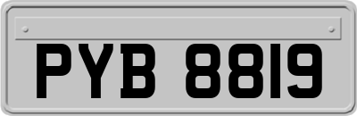 PYB8819