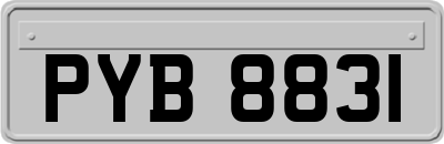 PYB8831