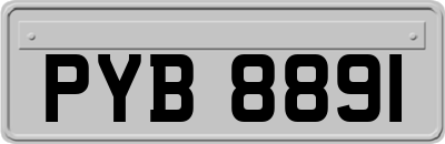 PYB8891