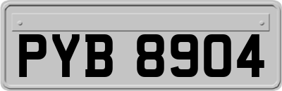 PYB8904