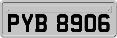 PYB8906