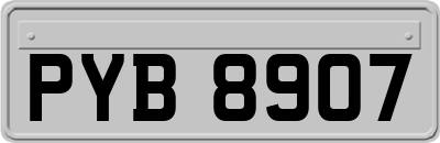 PYB8907