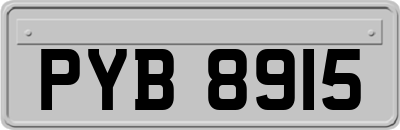 PYB8915