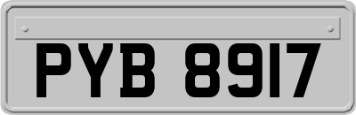 PYB8917