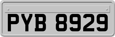 PYB8929