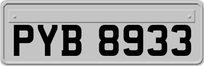 PYB8933