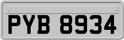 PYB8934