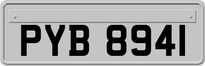 PYB8941