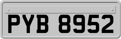 PYB8952